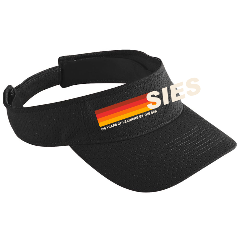 100 Years Celebration Athletic Mesh Visor SIES102