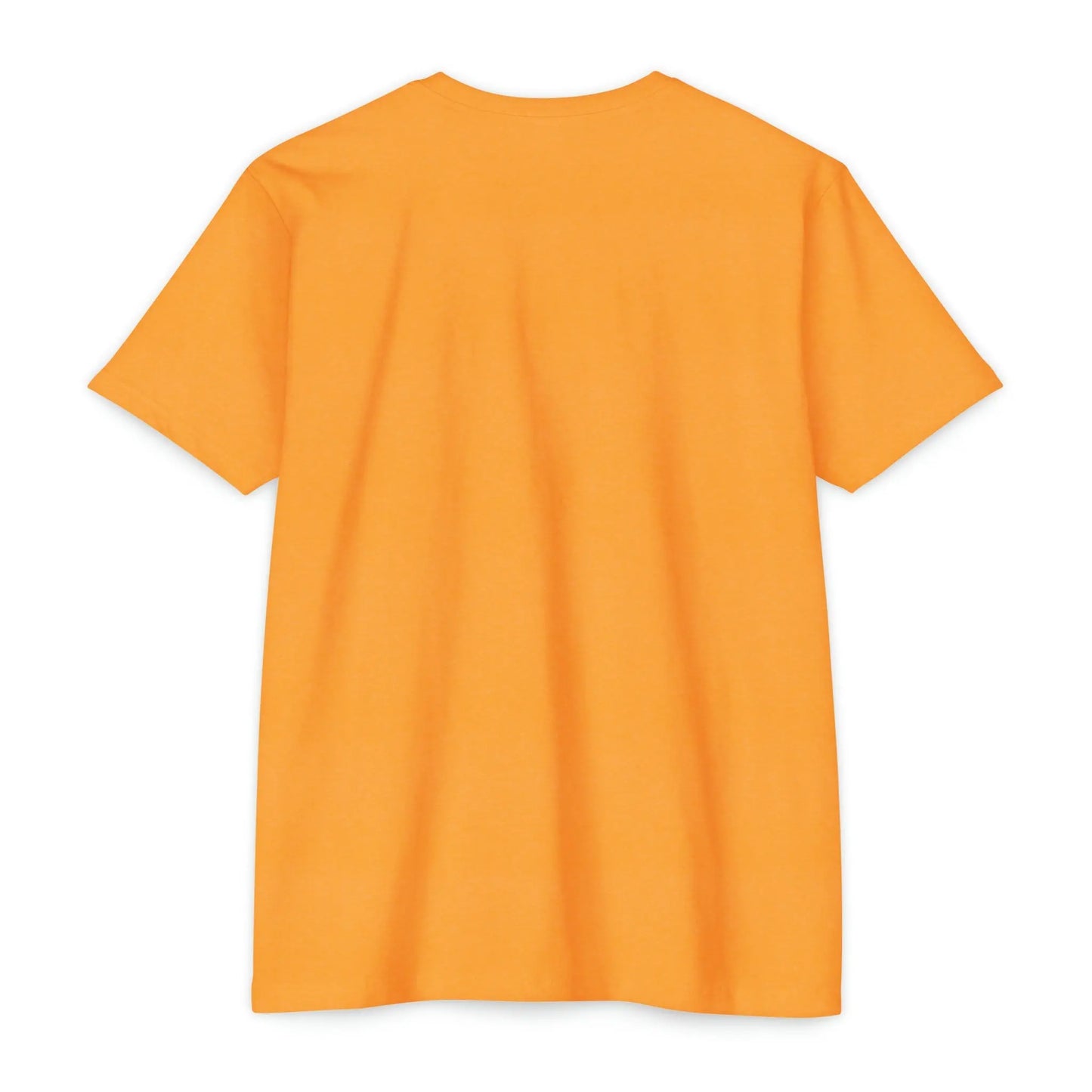 Unisex CVC Jersey T-shirt with Optional School Logos - An Initial Impression