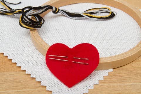 Subversive Cross Stitch - Don't Let Idiots Ruin Your Day Deluxe Cross Stitch Kit