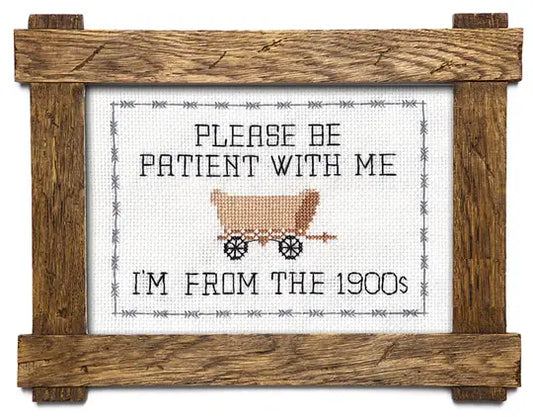 Subversive Cross Stitch - Please Be Patient With Me
