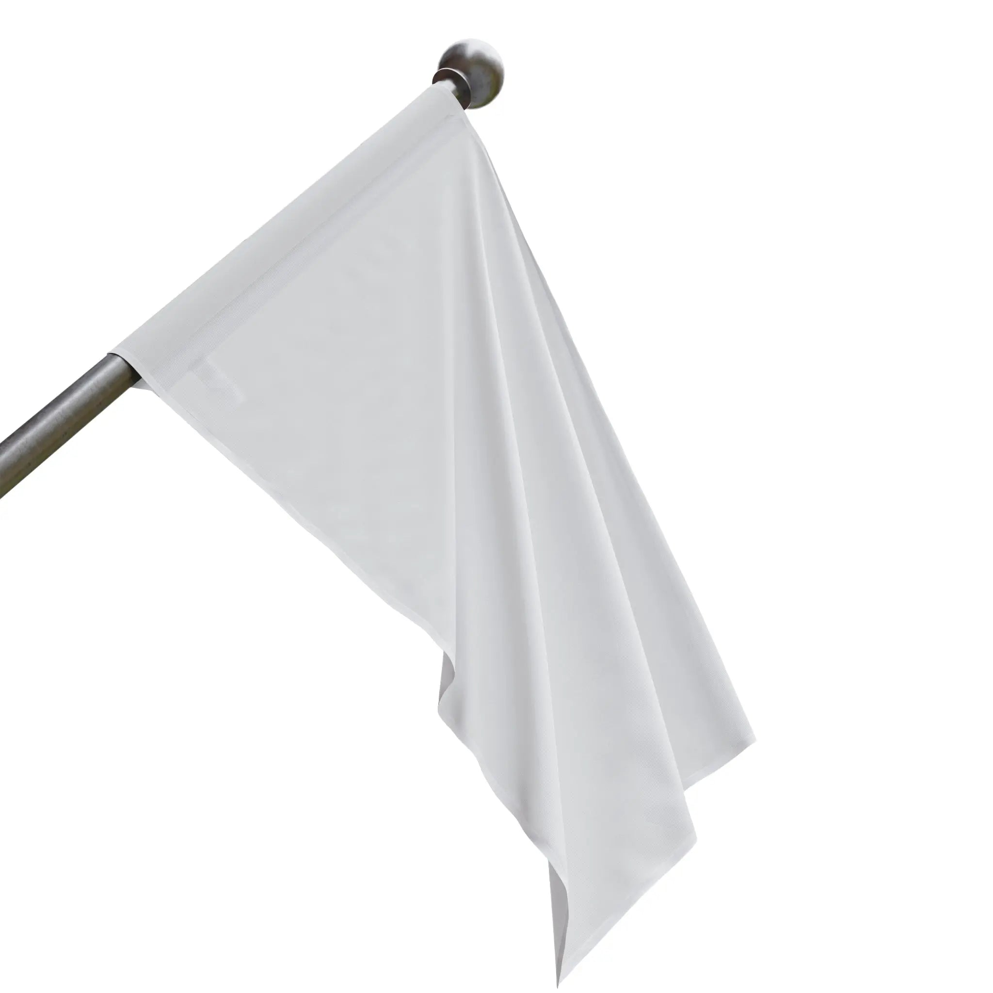 Flag with Optional School Logos - An Initial Impression