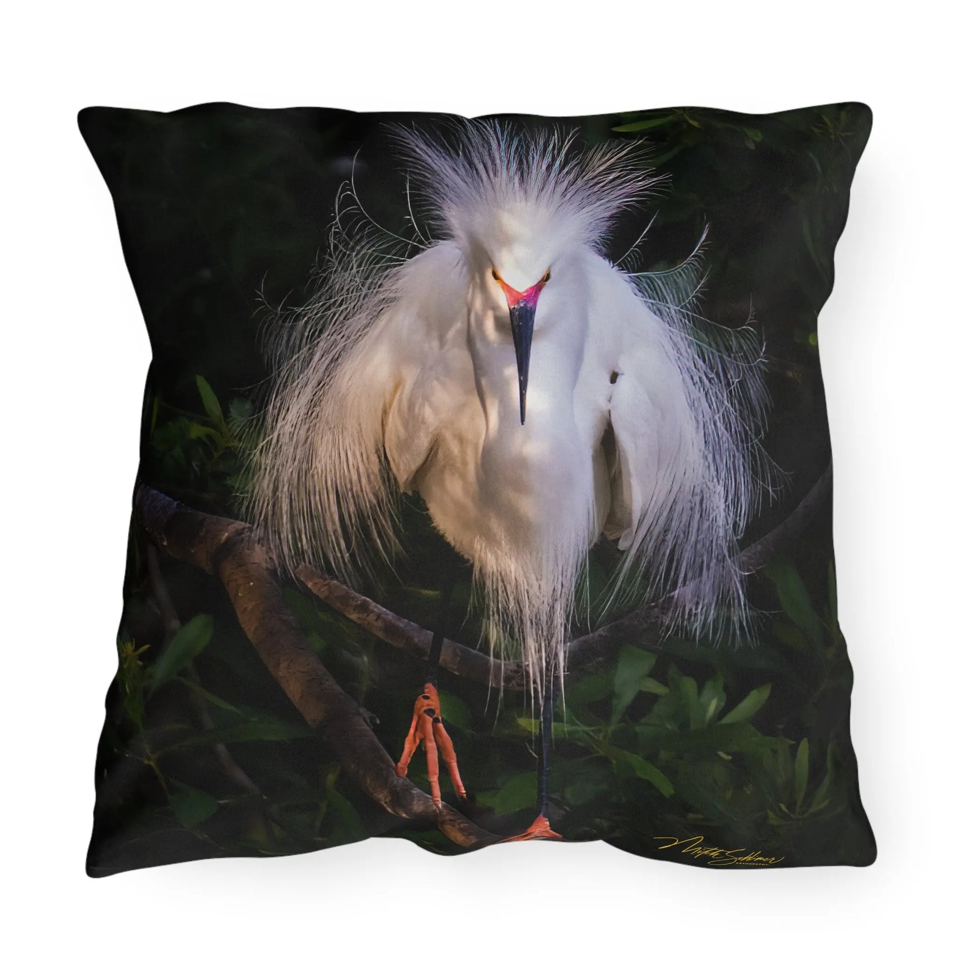 Outdoor Pillows with Mitch Schlimer Artography where "Every Photo Has A Story". - An Initial Impression