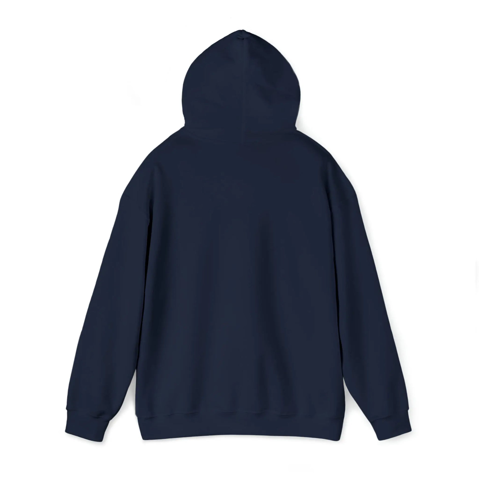 Unisex Heavy Blend™ Hooded Sweatshirt msa - An Initial Impression