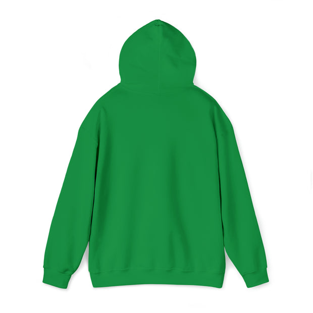 Unisex Heavy Blend™ Hooded Sweatshirt msa