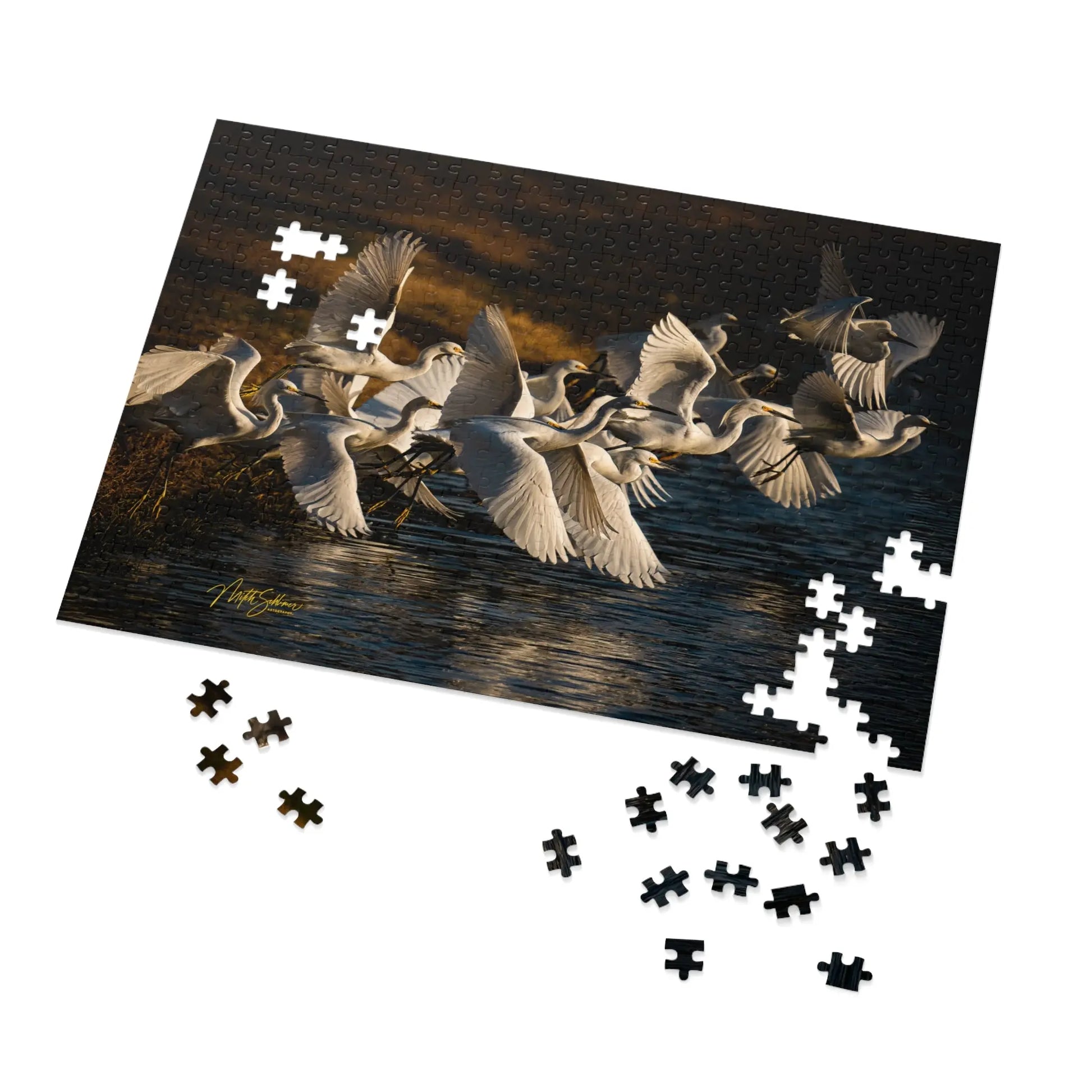 Jigsaw Puzzle (30, 110, 252, 500,1000-Piece) - An Initial Impression