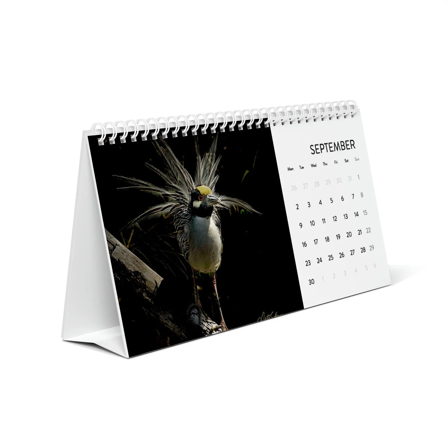 Desk Calendar (2024 grid)