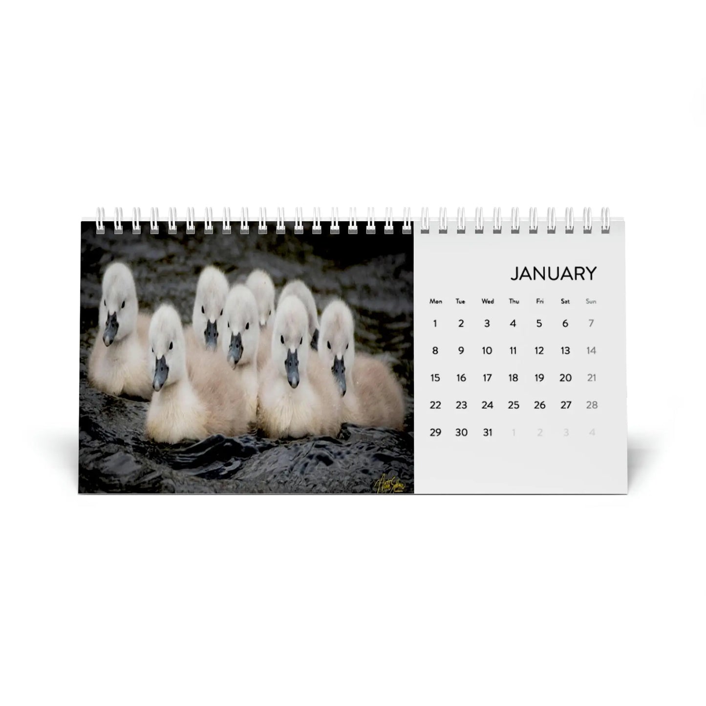 Desk Calendar (2024 grid)