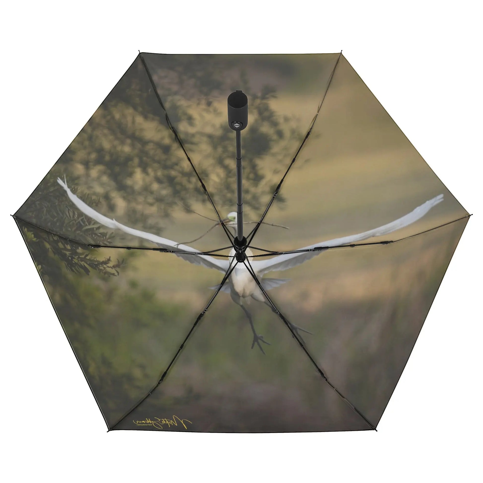 Lightweight Auto Open & Close Umbrella Printing Outside - An Initial Impression