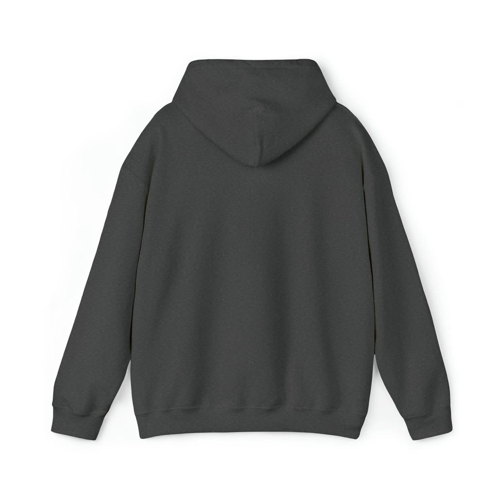 Unisex Heavy Blend™ Hooded Sweatshirt WW - An Initial Impression
