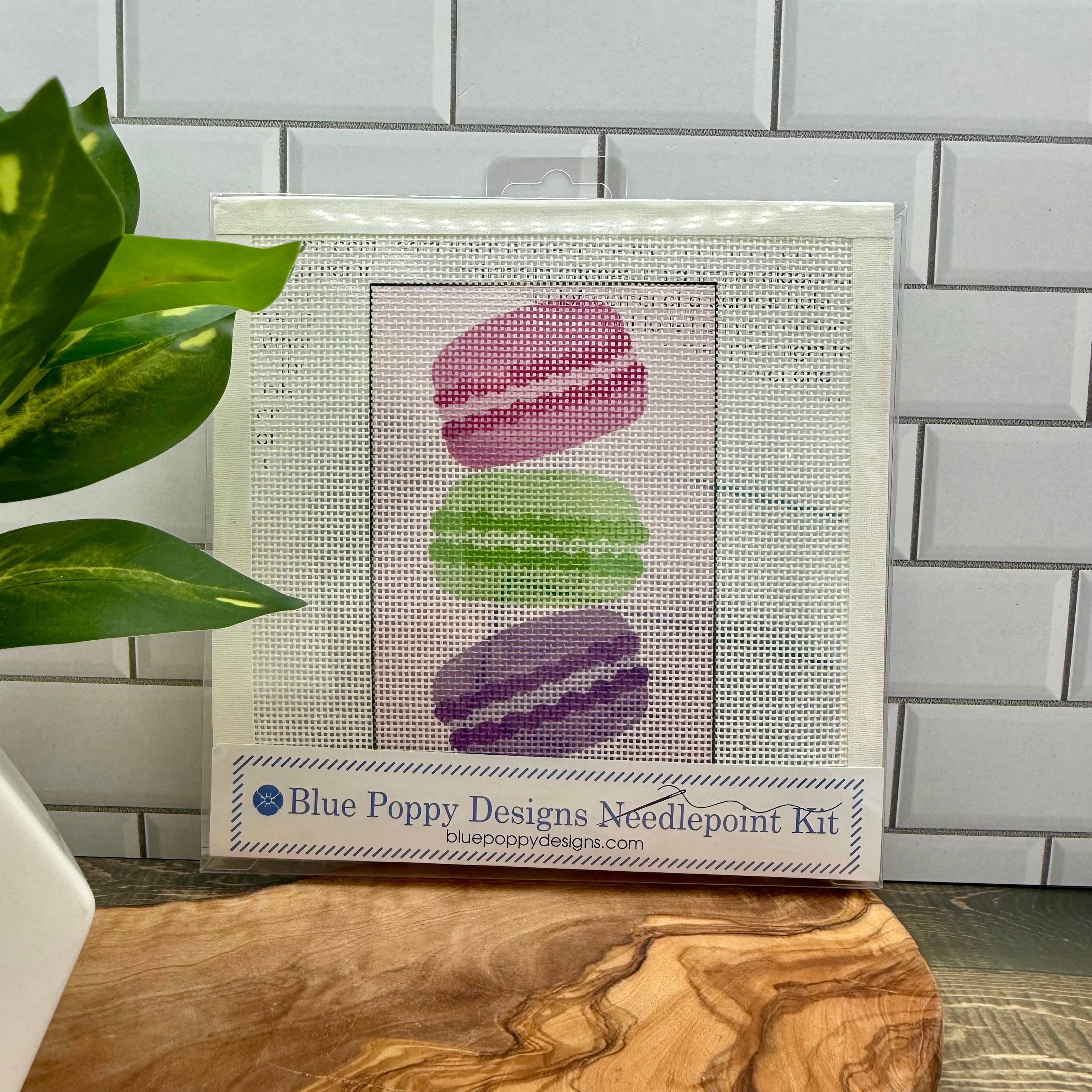 8X8  Paris Macarons Needlepoint Kit