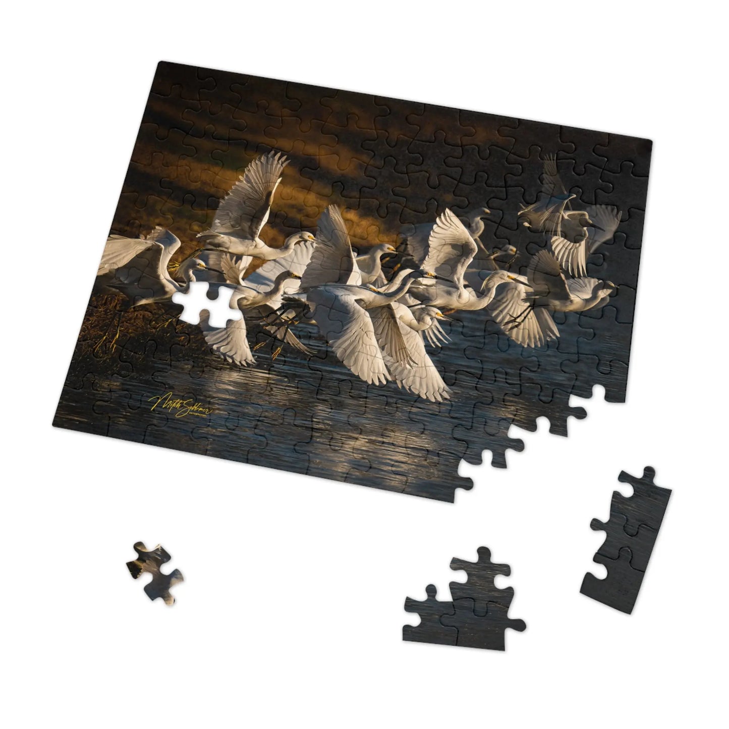 Jigsaw Puzzle (30, 110, 252, 500,1000-Piece)