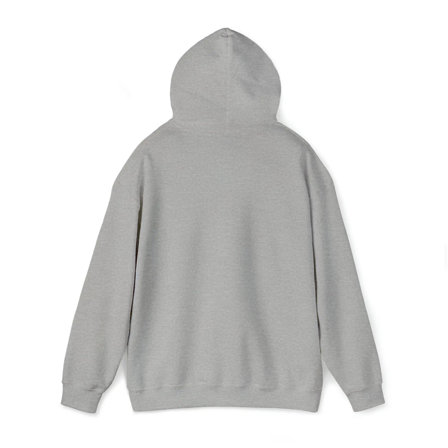 Unisex Heavy Blend™ Hooded Sweatshirt msa - An Initial Impression