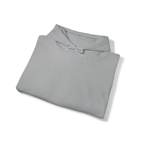 Unisex Heavy Blend™ Hooded Sweatshirt LB