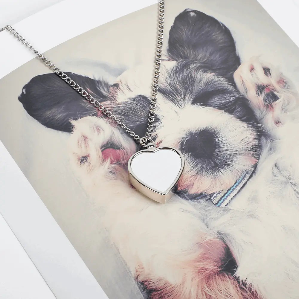 Custom Pet Urn Necklace Pet Keepsake Pet's Ashes Pendant Memorial Chain