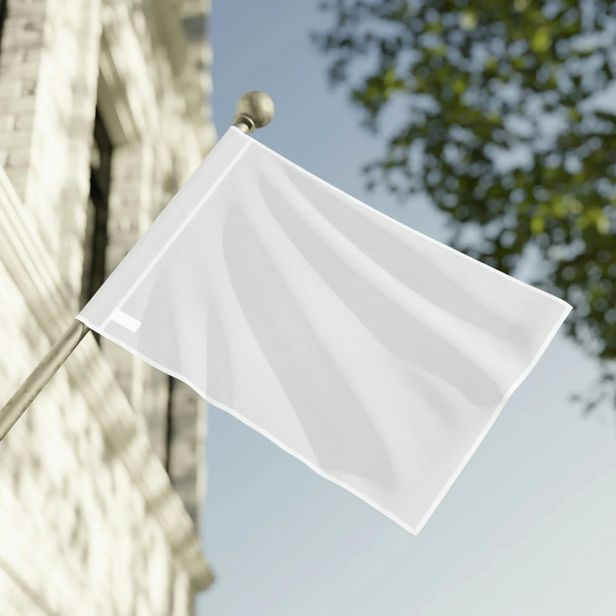 Flag LB - An Initial Impression