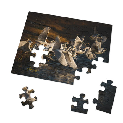 Jigsaw Puzzle (30, 110, 252, 500,1000-Piece)