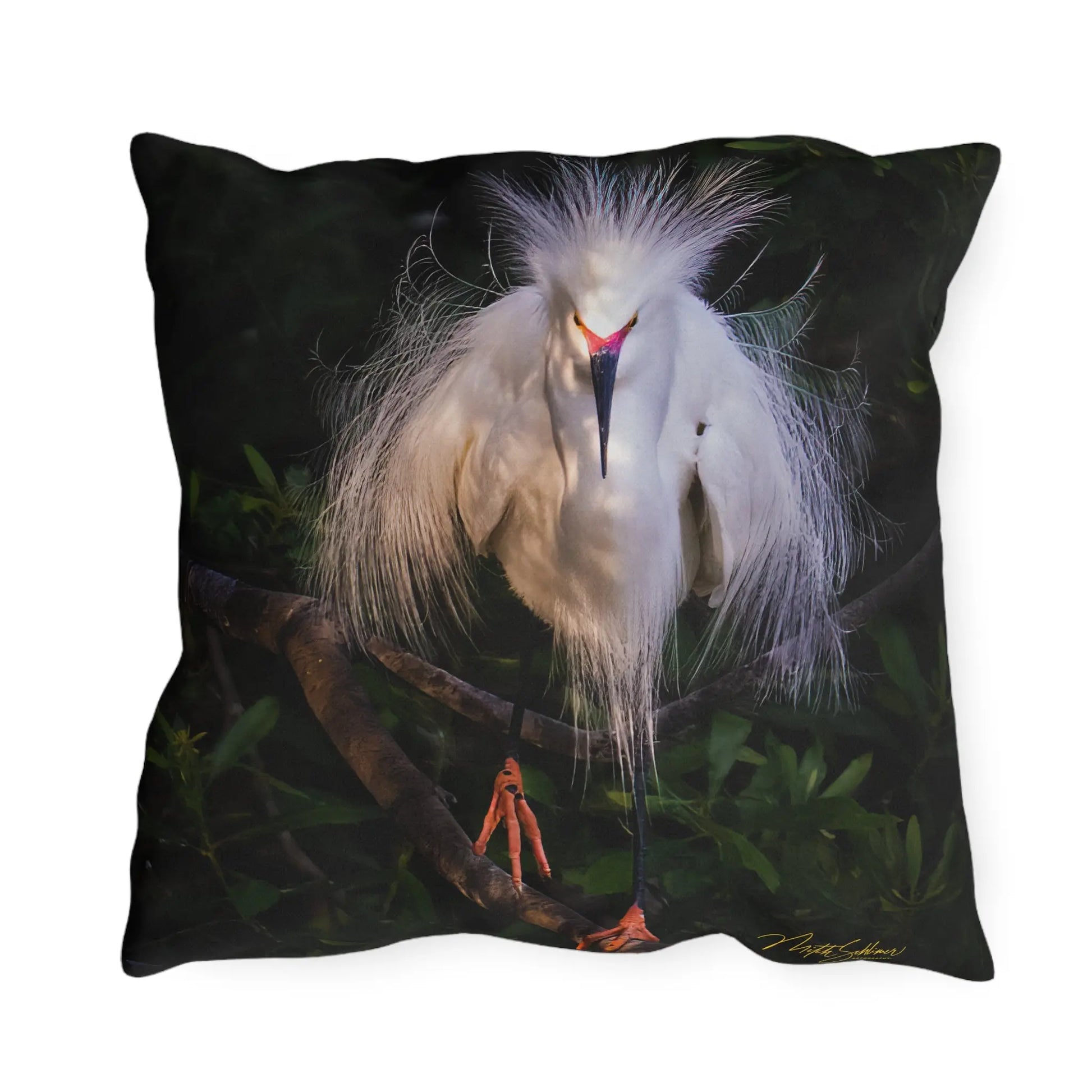 Outdoor Pillows with Mitch Schlimer Artography where "Every Photo Has A Story". - An Initial Impression