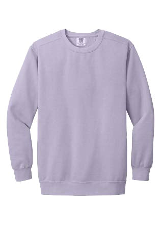 Unisex Premium Crewneck Sweatshirt SIES