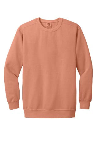 Unisex Premium Crewneck Sweatshirt SIES