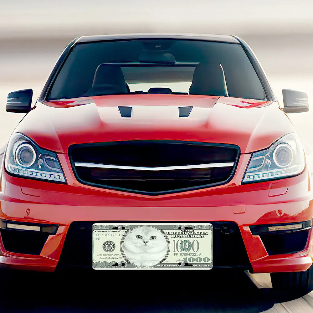 Custom Photo License Plates Personalized Money Front License Plate for Car - An Initial Impression