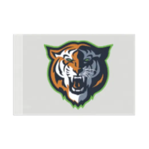 Flag LB - An Initial Impression