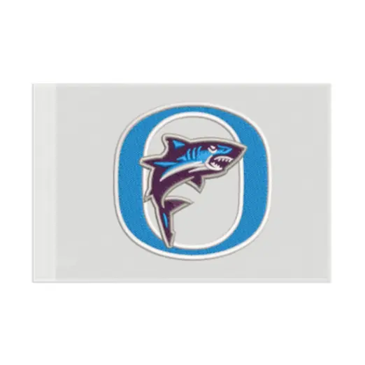 Flag with Optional School Logos - An Initial Impression