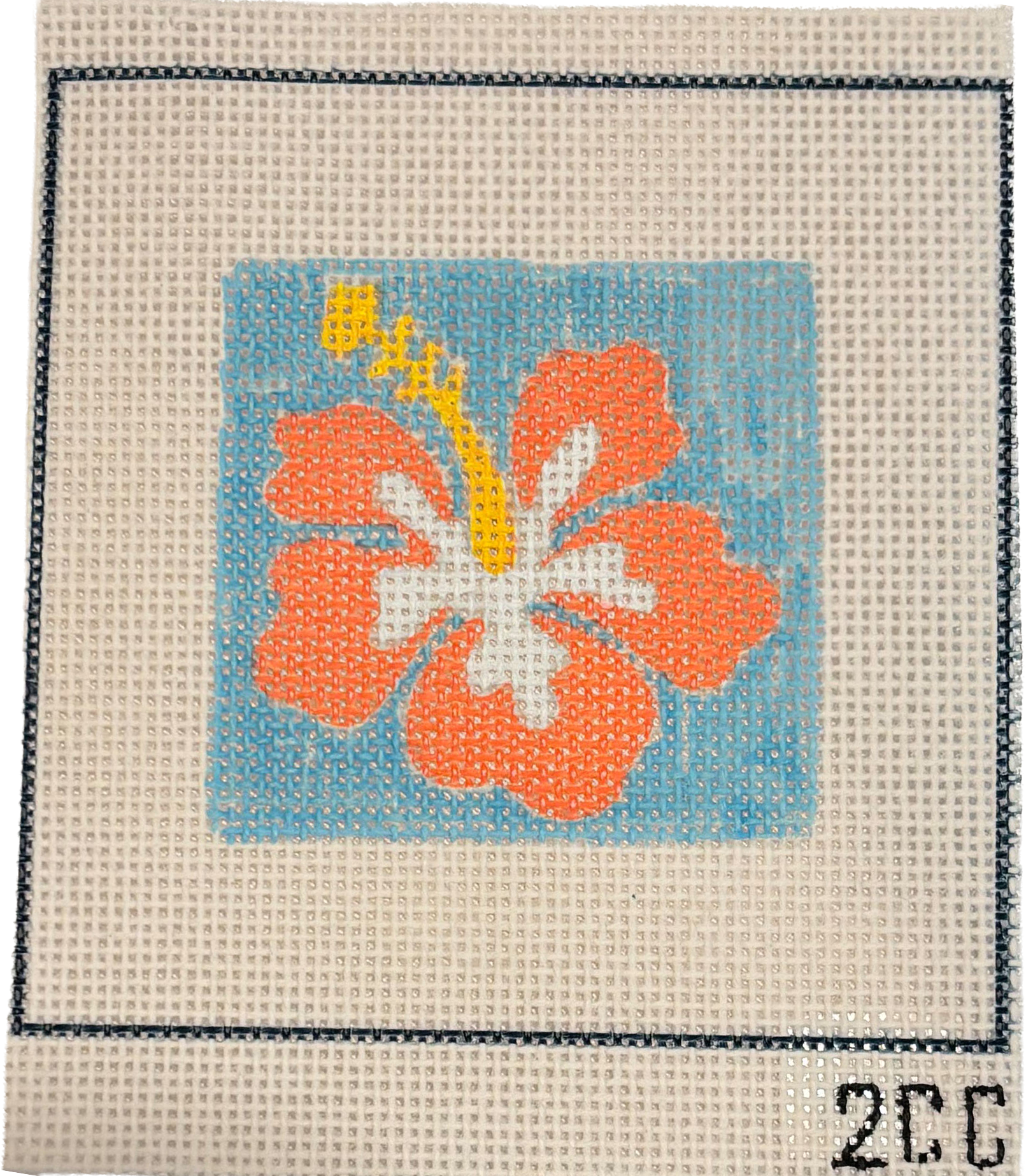 2CC NC CANVAS – An Initial Impression