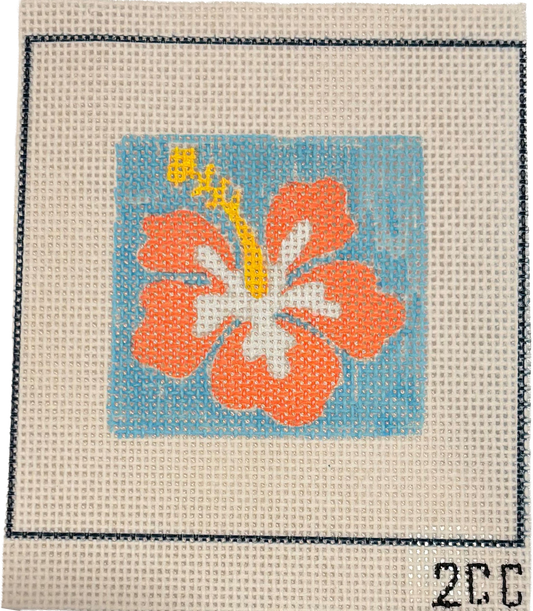2CC  NC CANVAS