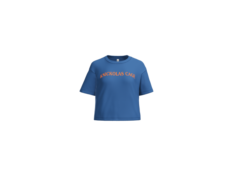 Vintage Stevie Knicks, Knickole Kidman, Knickelback, Knickolas Cage Royal Crop T Shirt