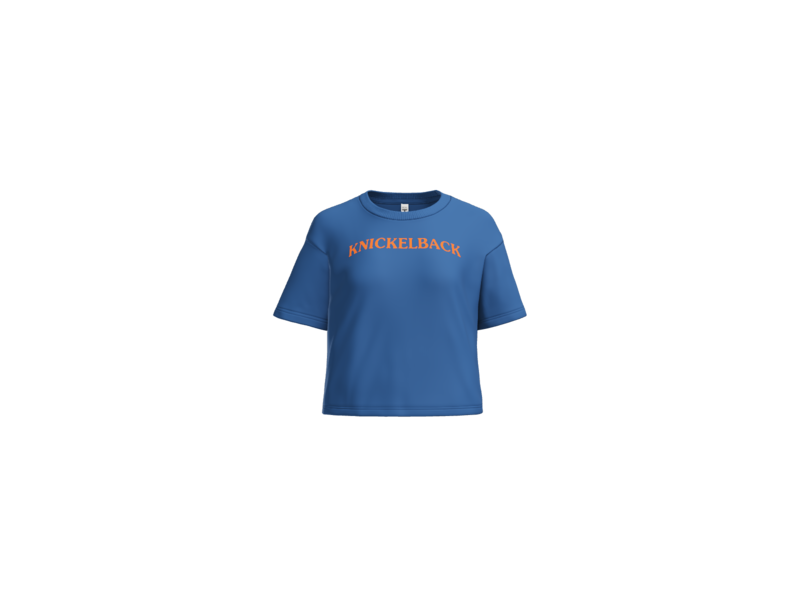 Vintage Stevie Knicks, Knickole Kidman, Knickelback, Knickolas Cage Royal Crop T Shirt