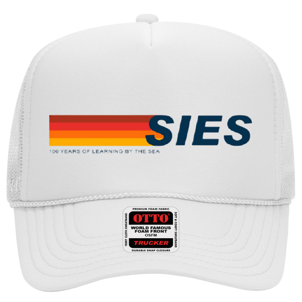 Adult Foam Hat 100 Years Retro Celebration SIES102