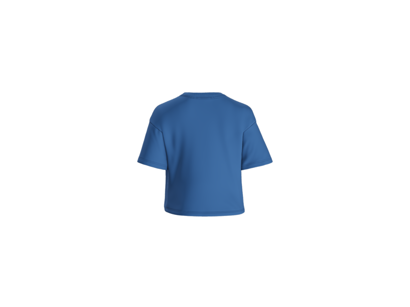 Vintage Stevie Knicks, Knickole Kidman, Knickelback, Knickolas Cage Royal Crop T Shirt