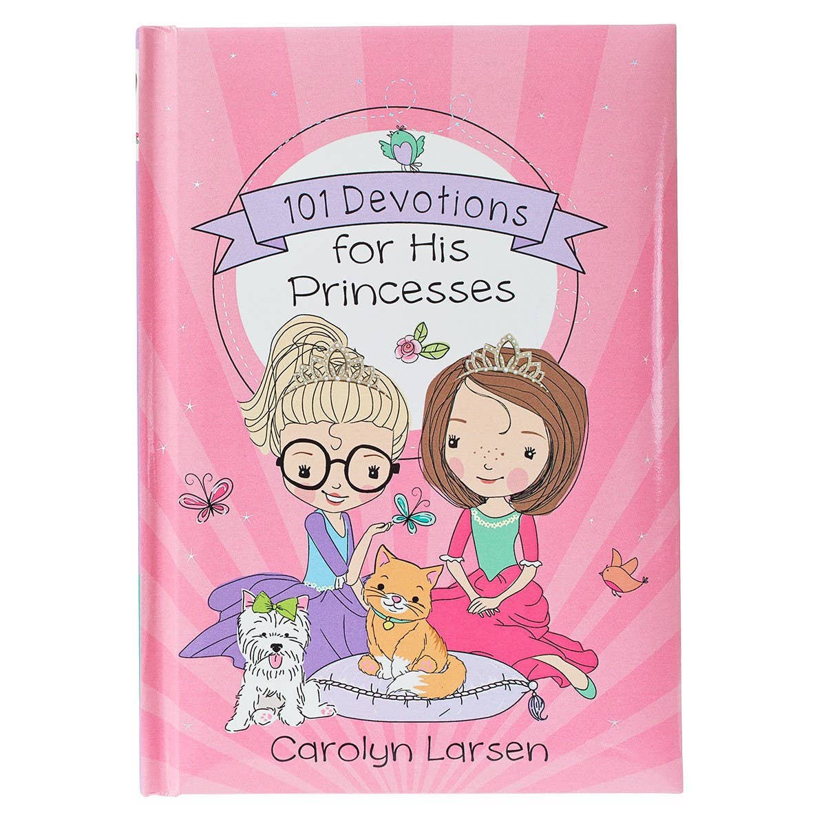 Christian Art Gifts - 101 Devotions for His Princess - An Initial Impression