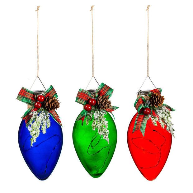 Evergreen Enterprises - LED Classic Christmas Bulb with Artificial Ornament3 Asst: R - An Initial Impression