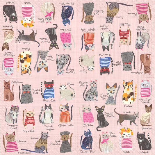 Paper Cocktail Napkins Pack of 20 Cool Cats