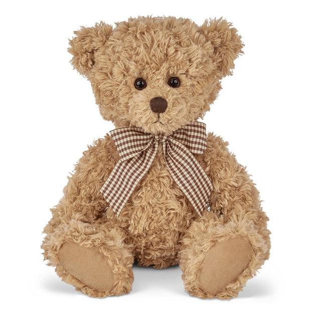 Theodore the Teddy Bear - An Initial Impression