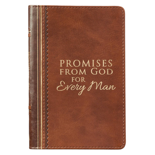 Christian Art Gifts - Promises From God For Every Man LuxLeather Edition - An Initial Impression
