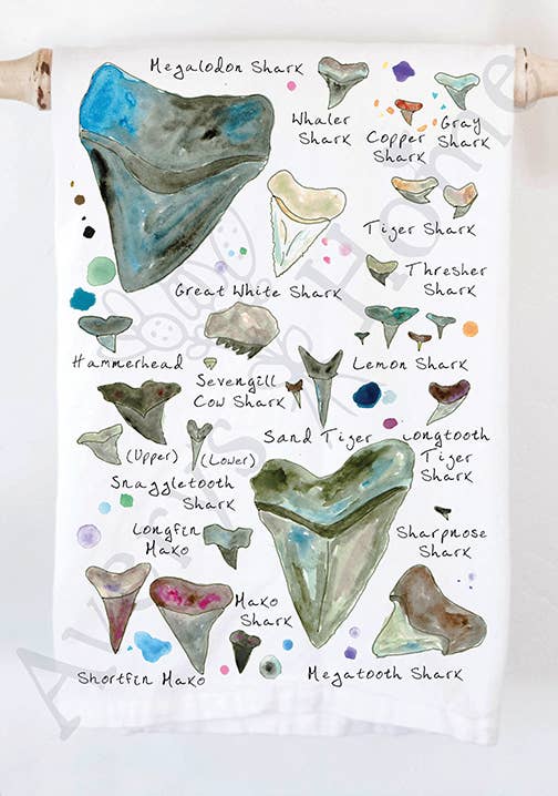 Shark Tooth Names Kitchen Towel