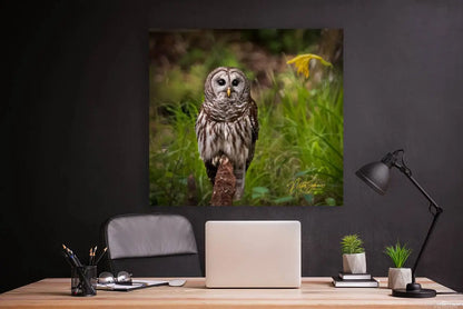 Giclée Stretched Canvas Print