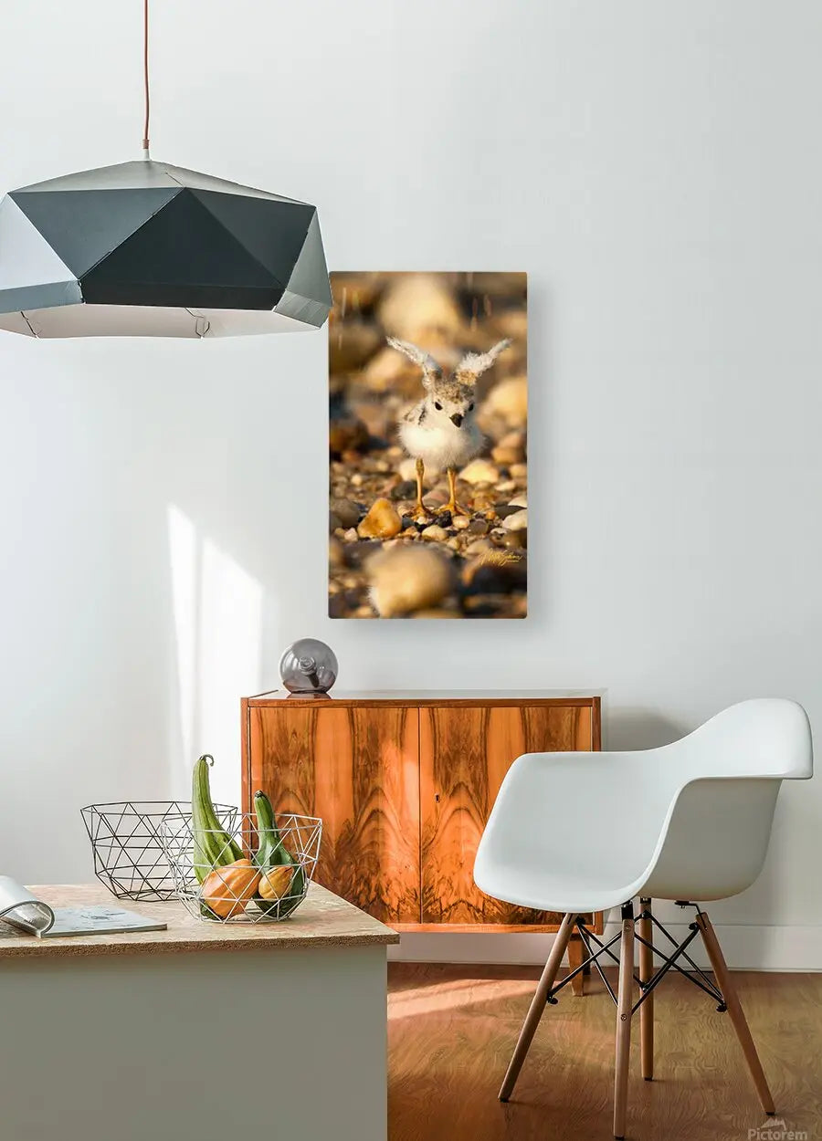 HD Sublimation Metal Print